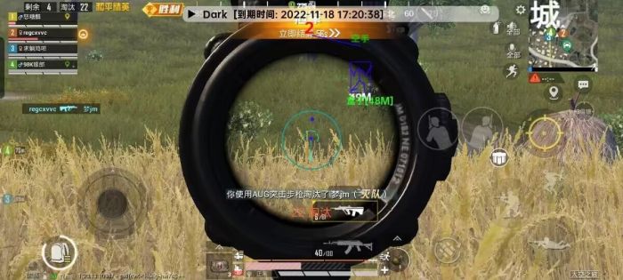 和平精英透视3元挂购买 - 性价比极高的实战辅助